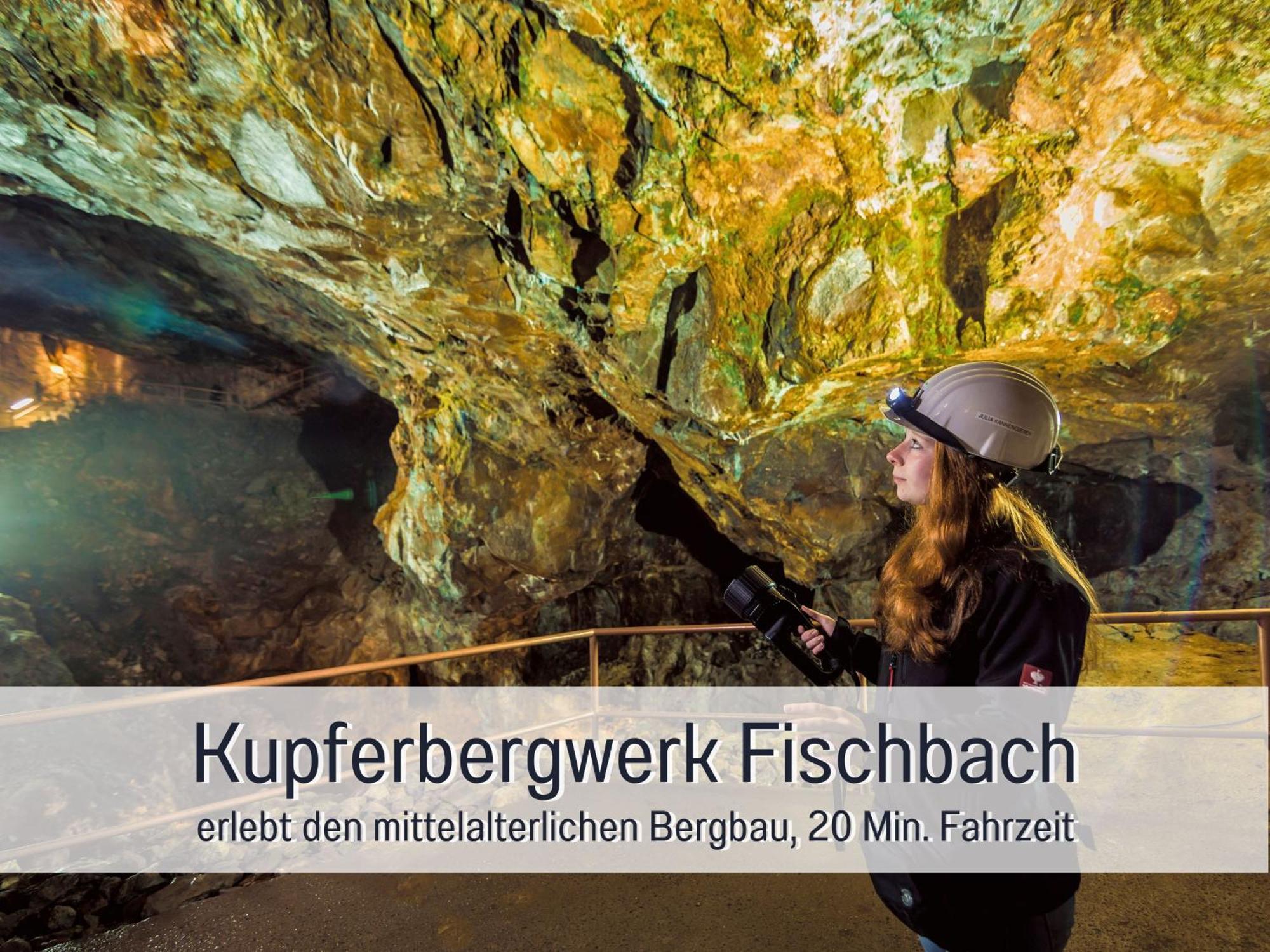 Natur-Chalet Zum Nationalpark Marie-Luise Inkl E-Auto Allenbach Buitenkant foto