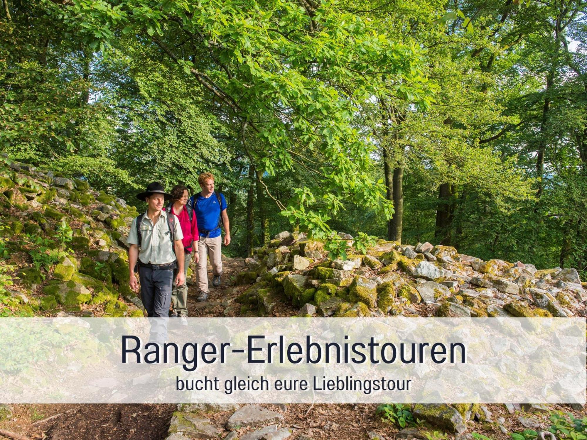 Natur-Chalet Zum Nationalpark Marie-Luise Inkl E-Auto Allenbach Buitenkant foto